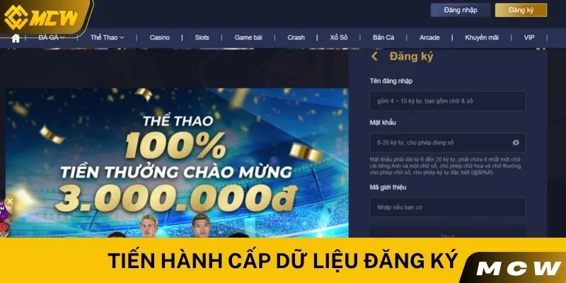 Tiến hành cấp dữ liệu đăng ký